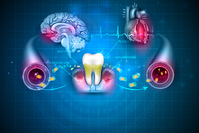 口腔内常在菌は全身の健康に影響がある？