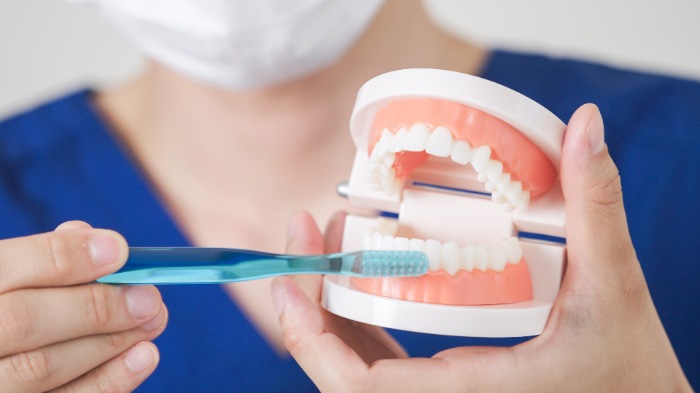 TBIとは歯医者さんで受けられる歯磨き指導です。正しい歯磨きを身につけましょう。"