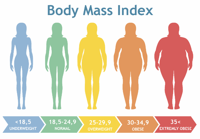 BMI（肥満指数）